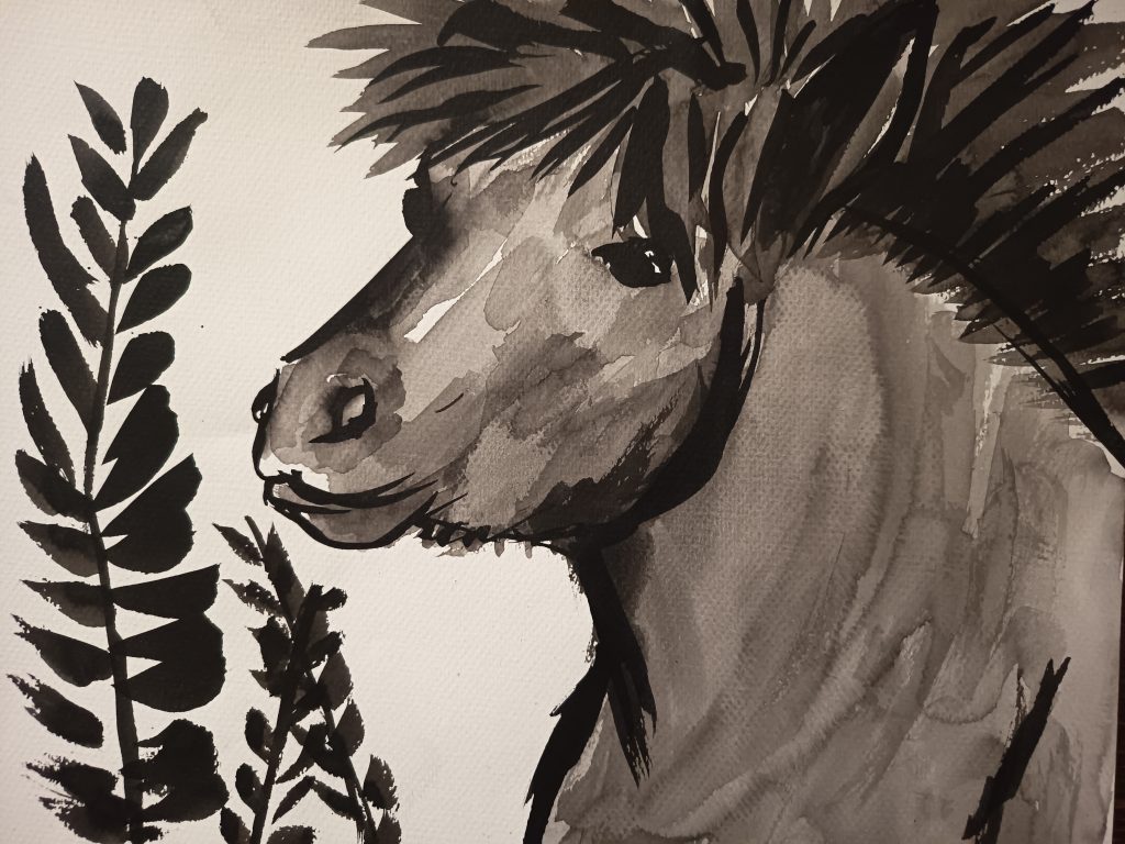 Encre de chine Poney