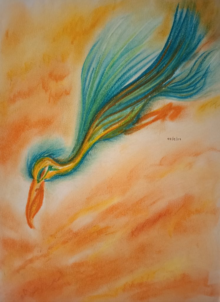 Oiseau colore pastels gras oranges jaune bleus turquoise