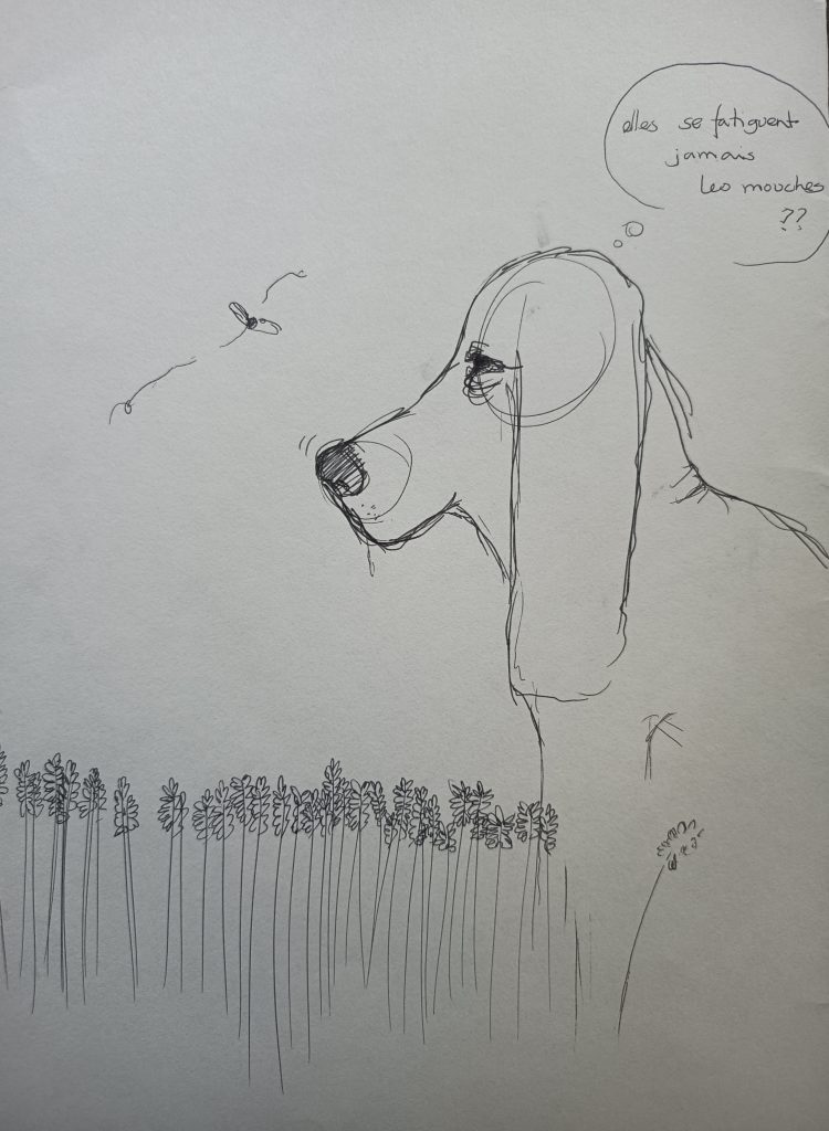 Dog et les mouches dessin humoristique feutre fin noir