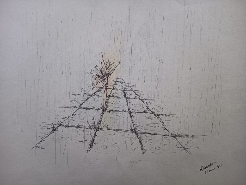 L'espoir peut surgir de nulle par. Personnalisation d'une fleur sortant du milieu du trottoir goudronné. Feutre fin noir et crayon de couleur