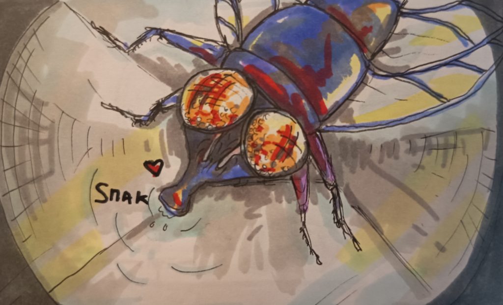 Illustration mouche feutres comique
