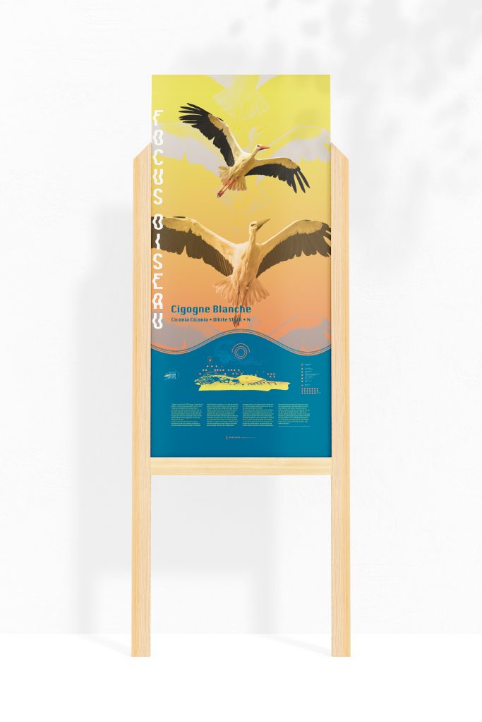 identité visuelle signalétique et balisage de terrain pour le parc / réserve ornithologique du tech. Panneaux oiseaux