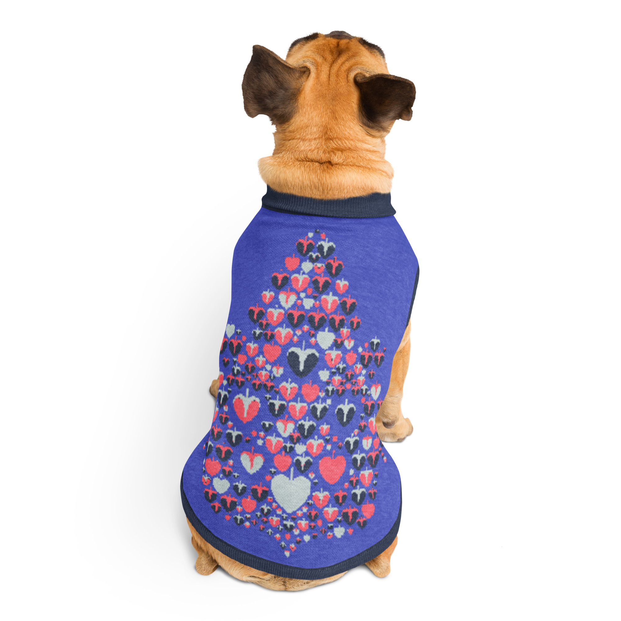 Sweat tricoté pour chien, en coton doux et confortable. Parfait pour les balades, les siestes et les photos de famille.