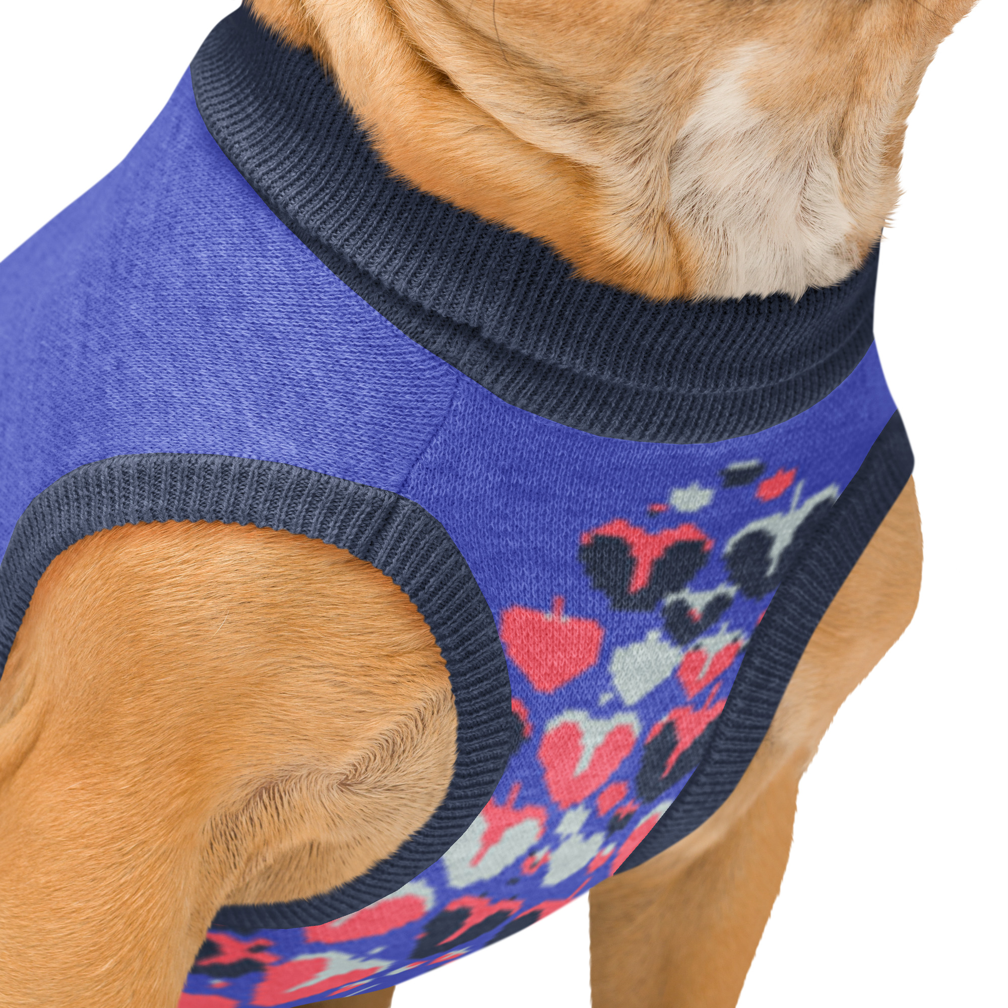Sweat tricoté pour chien, en coton doux et confortable. Parfait pour les balades, les siestes et les photos de famille.