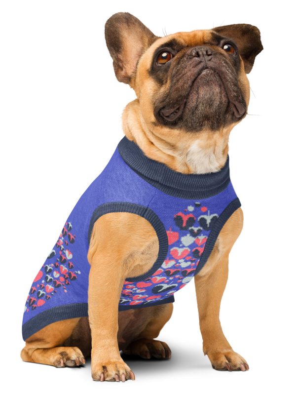 Sweat tricoté pour chien, en coton doux et confortable. Parfait pour les balades, les siestes et les photos de famille.