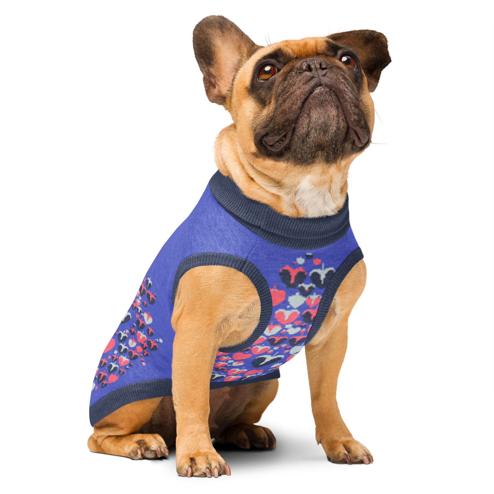 Sweat tricoté pour chien, en coton doux et confortable. Parfait pour les balades, les siestes et les photos de famille.